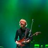 Check Out Phish's First Gallery Show, Coinciding With Their MSG Run